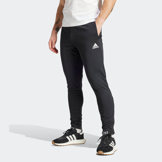 ENT22 TR PNT Black
